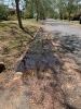 Clogged street gutters and storm water drain