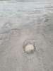 Multiple potholes