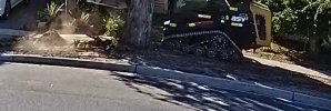 Damage to tree roots and construction of paved space on nature strip